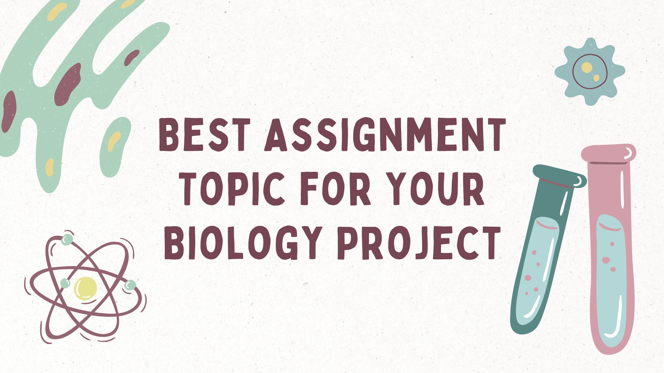 Assignment